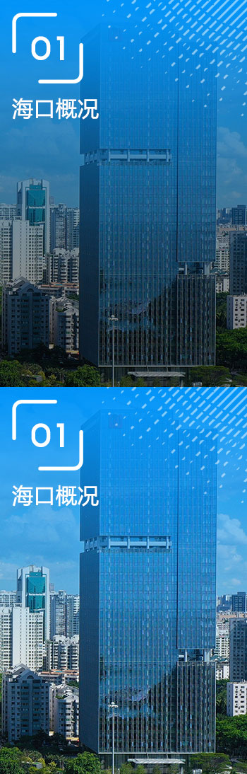 海口概况