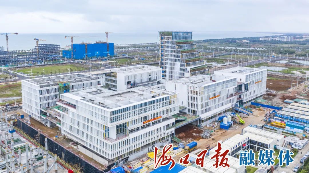 自贸港丨推动国企发展,海口这样干…… - 投资要闻 - 投资海口网